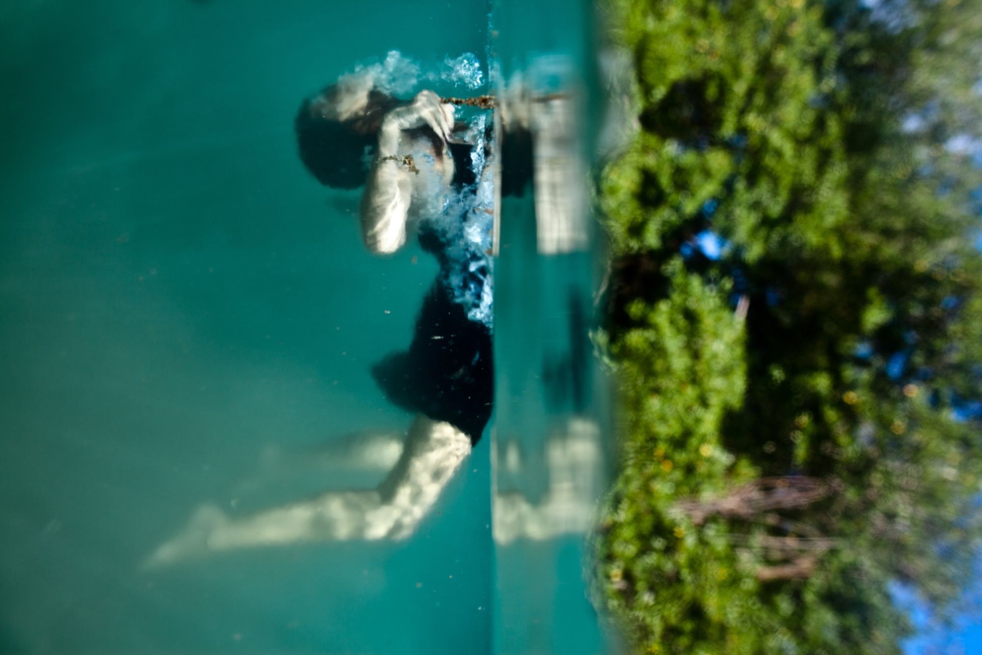 parallel d — parallels by Robin Cerutti